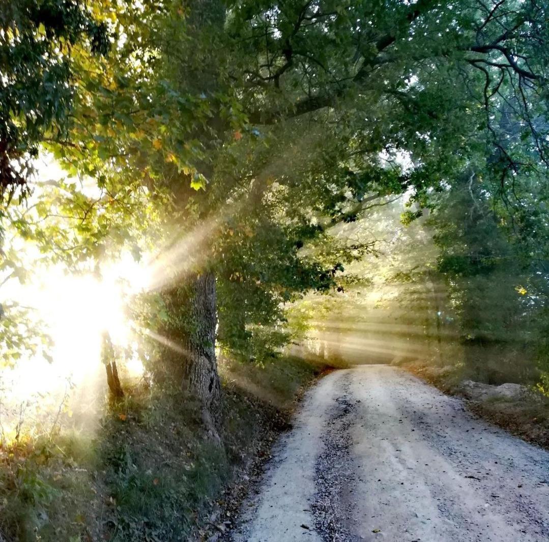 La Quercia Incantata 加梅里亚诺 外观 照片